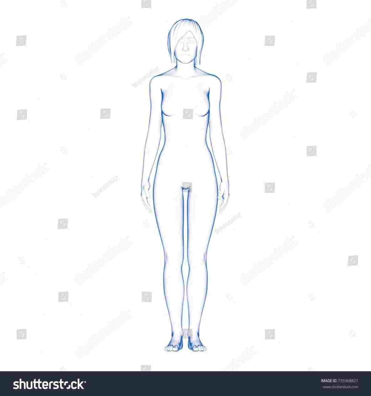 1185x1264 How Female Body Shape Drawing To Draw Different Types Bored - Female Body Shape Drawing