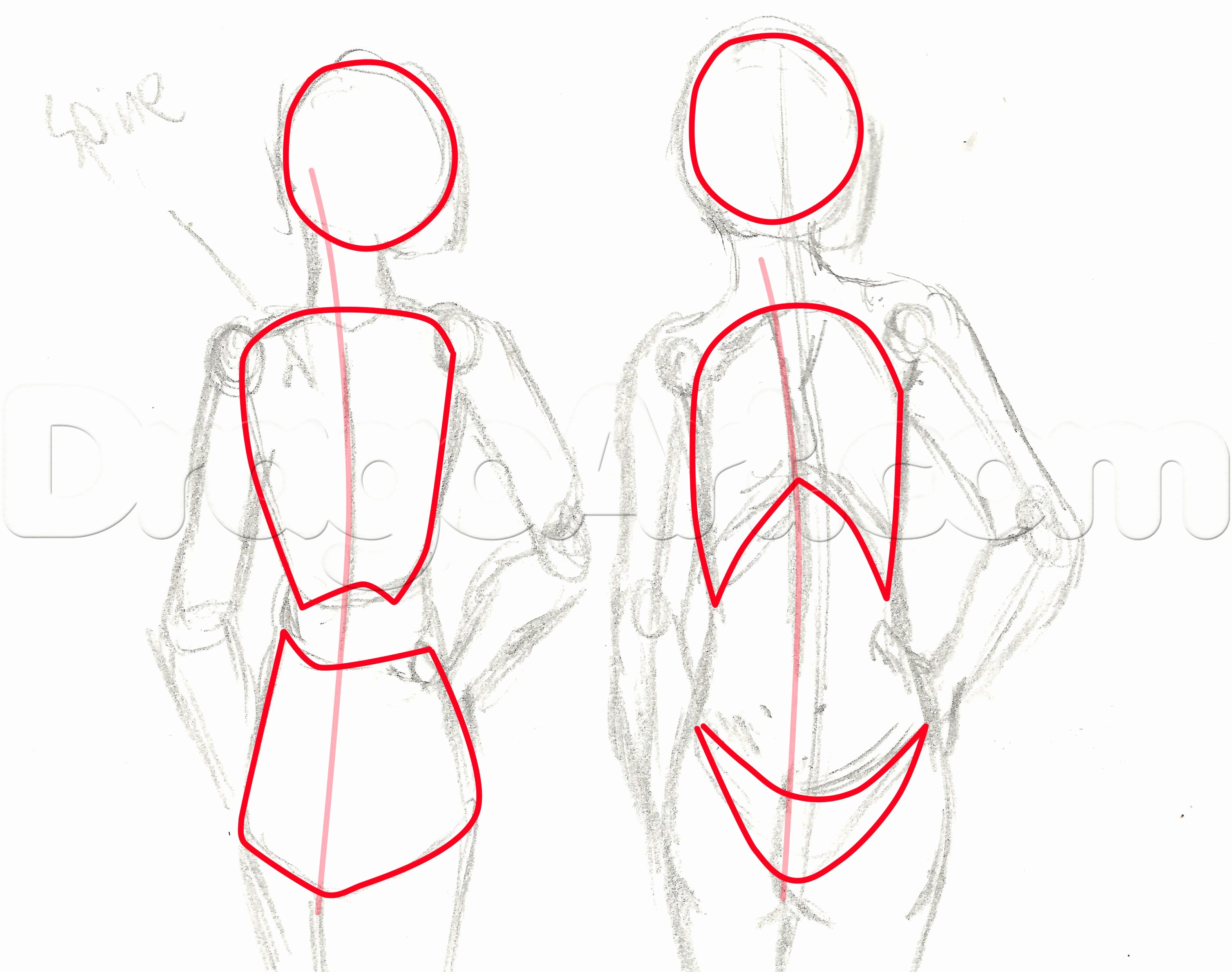 3145x2481 female body sketch best of how to draw anime female bo s draw - Female Body Structure Drawing