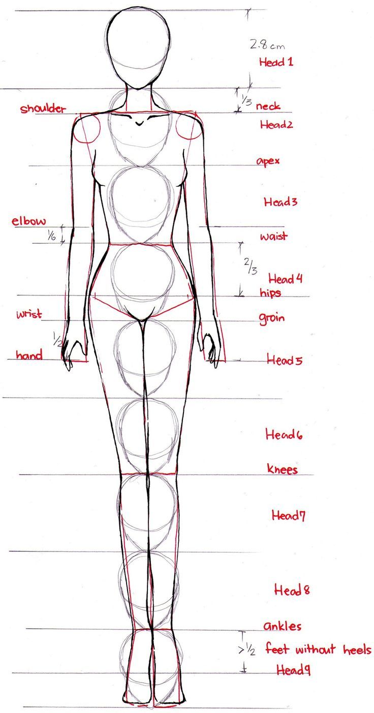 736x1404 Glamorous Fashion Sketches And Illustrations Best Art Help - Female Body Structure Drawing