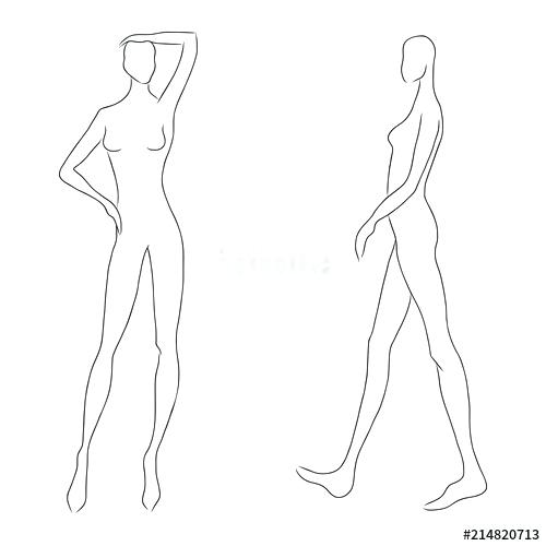 500x500 body sketch outline female body sketch awesome best drawing female - Female Body Structure Drawing