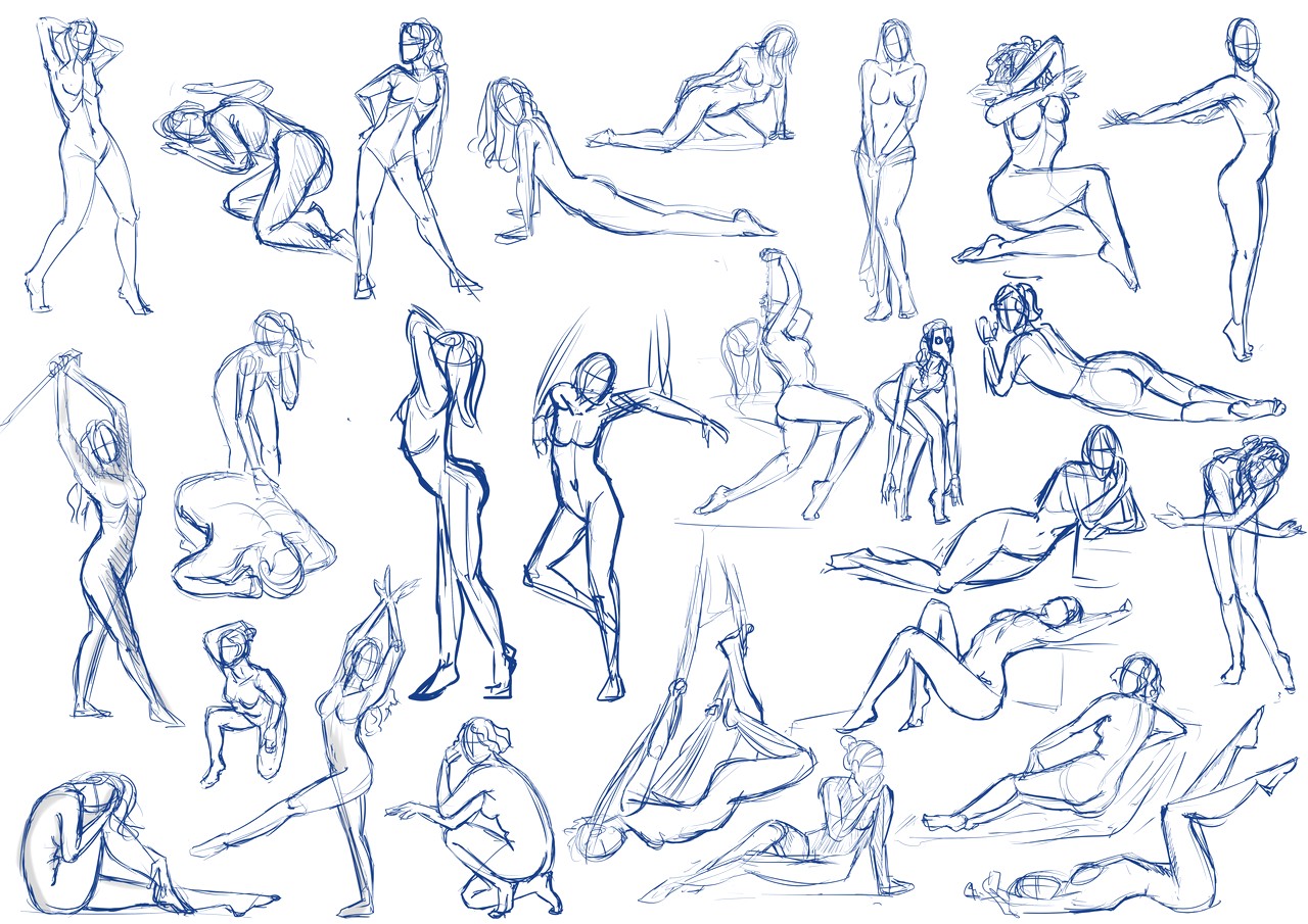 Female Body Anatomy Drawing - Female Body Structure Drawing. 