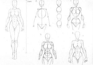 300x210 How To Draw Female Body Types - Female Body Types Drawing