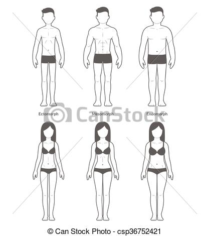 417x470 Male And Female Body Types Ectomorph, Mesomorph And Endomorph - Female Body Types Drawing