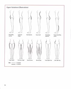Female Body Types Chart