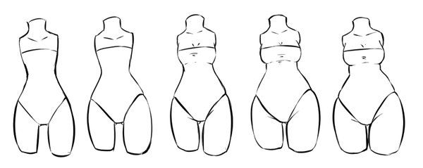 600x239 Body Type Part - Female Body Types Drawing