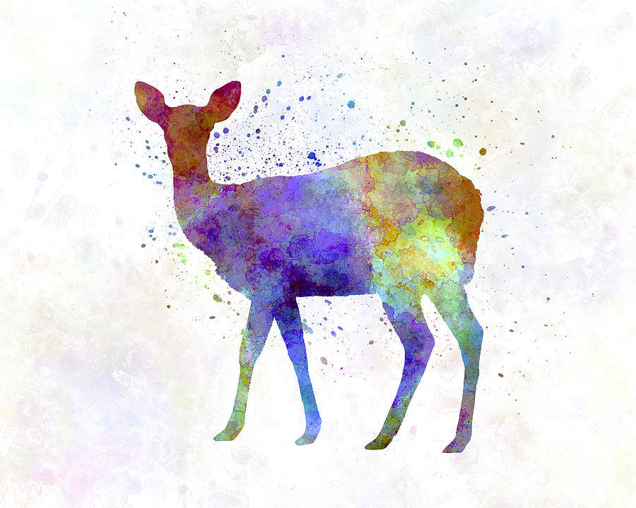 Female Deer Drawing at Explore collection of