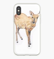 210x230 Female Deer Drawing Iphone Cases Covers For Xsxs Max, Xr, X - Female Deer Drawing