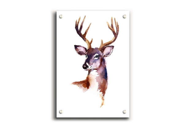 600x427 female deer wild life acrylic acrylic standard acrylic print - Female Deer Drawing