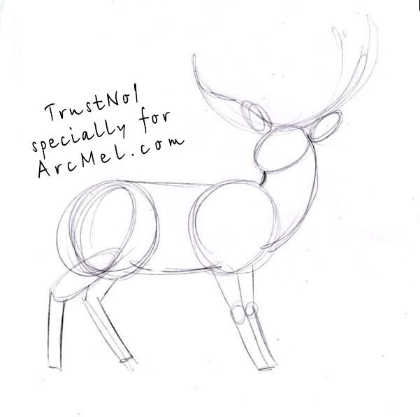 601x596 Female Eyes Drawing Step - Female Deer Drawing