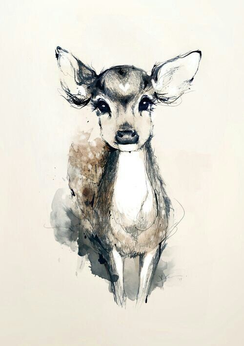500x708 Photo - Female Deer Drawing