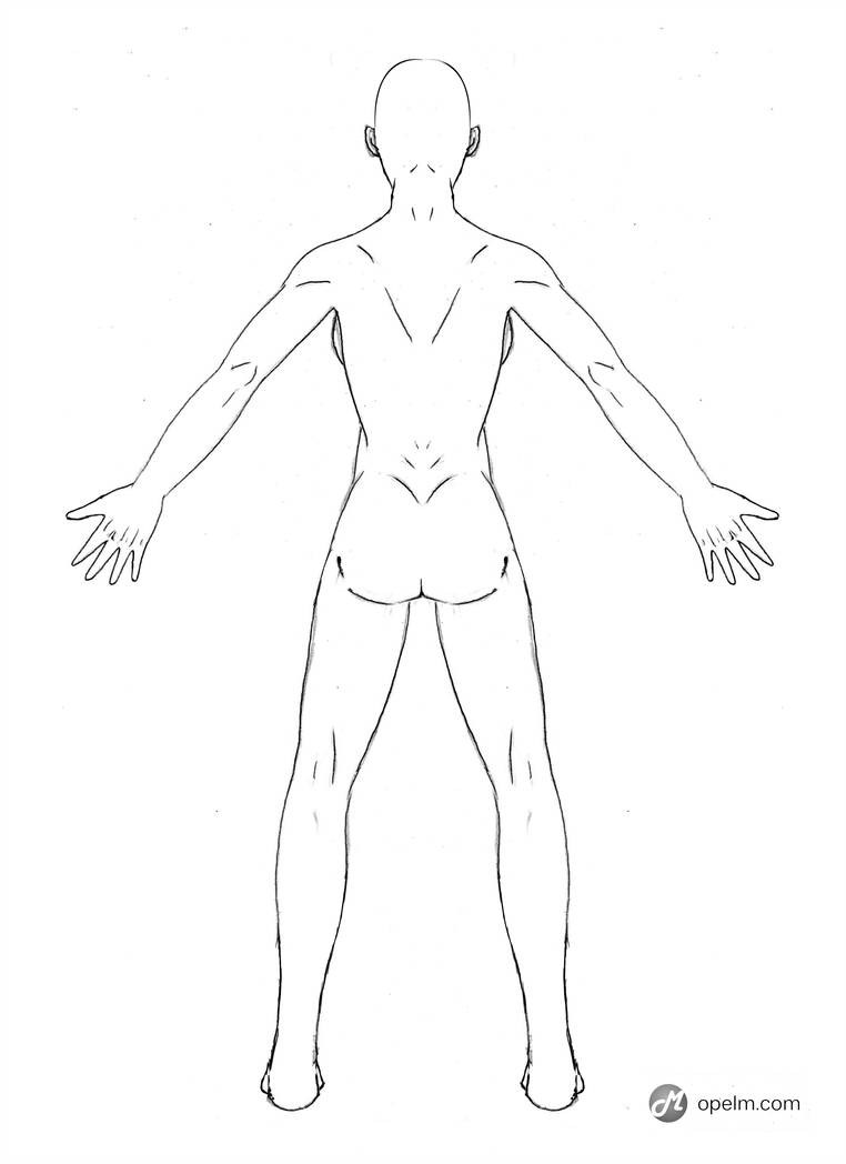 762x1048 Female Anatomy Drawing Model - Female Drawing Model