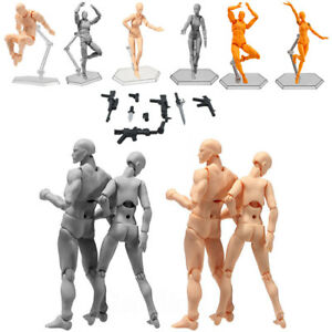 300x300 Malefemale Pvc Action Figma Archetype Figure Model Body Toy - Female Drawing Model