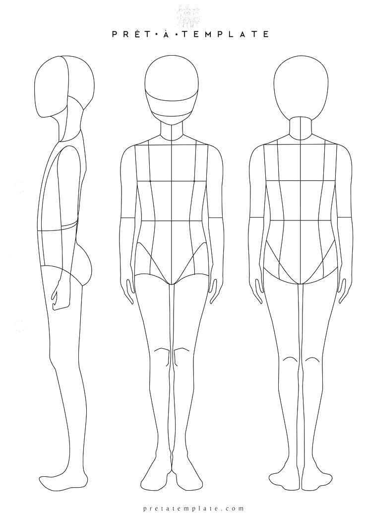 Female Drawing Template at Explore collection of