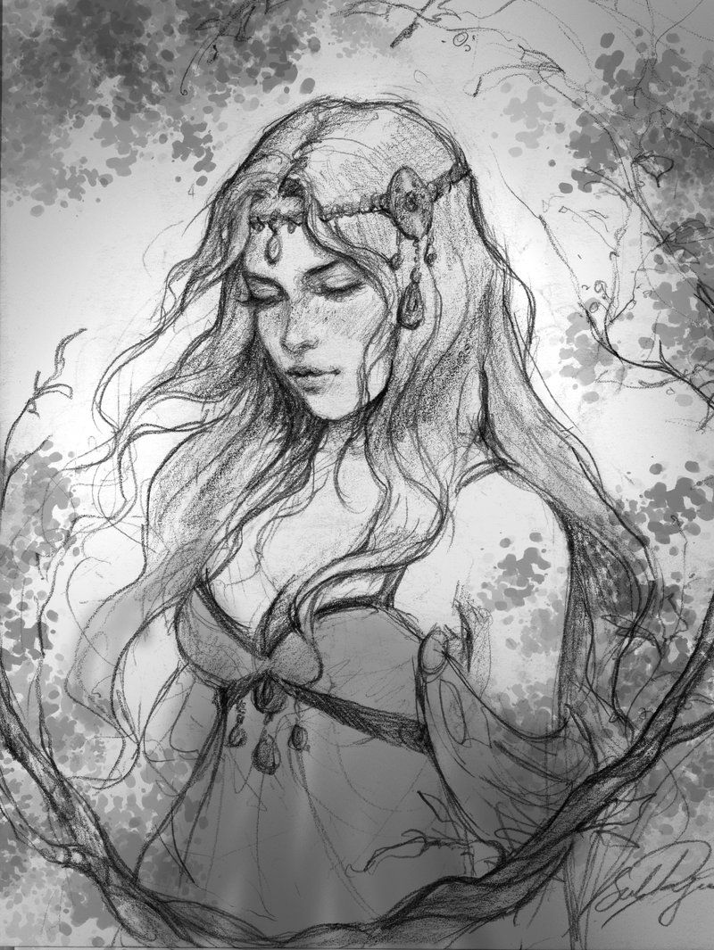 800x1065 dreamer - Female Elf Drawing