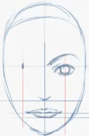 300x457 How To Draw Female Faces In Correct Proportions With Easy Drawing - Female Face Drawing