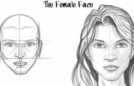 450x290 How To Draw The Female Face - Female Face Drawing