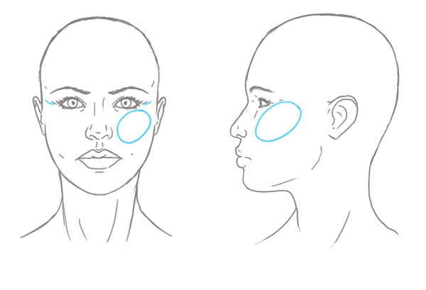 600x409 the differences between male and female portraits - Female Face Drawing Images