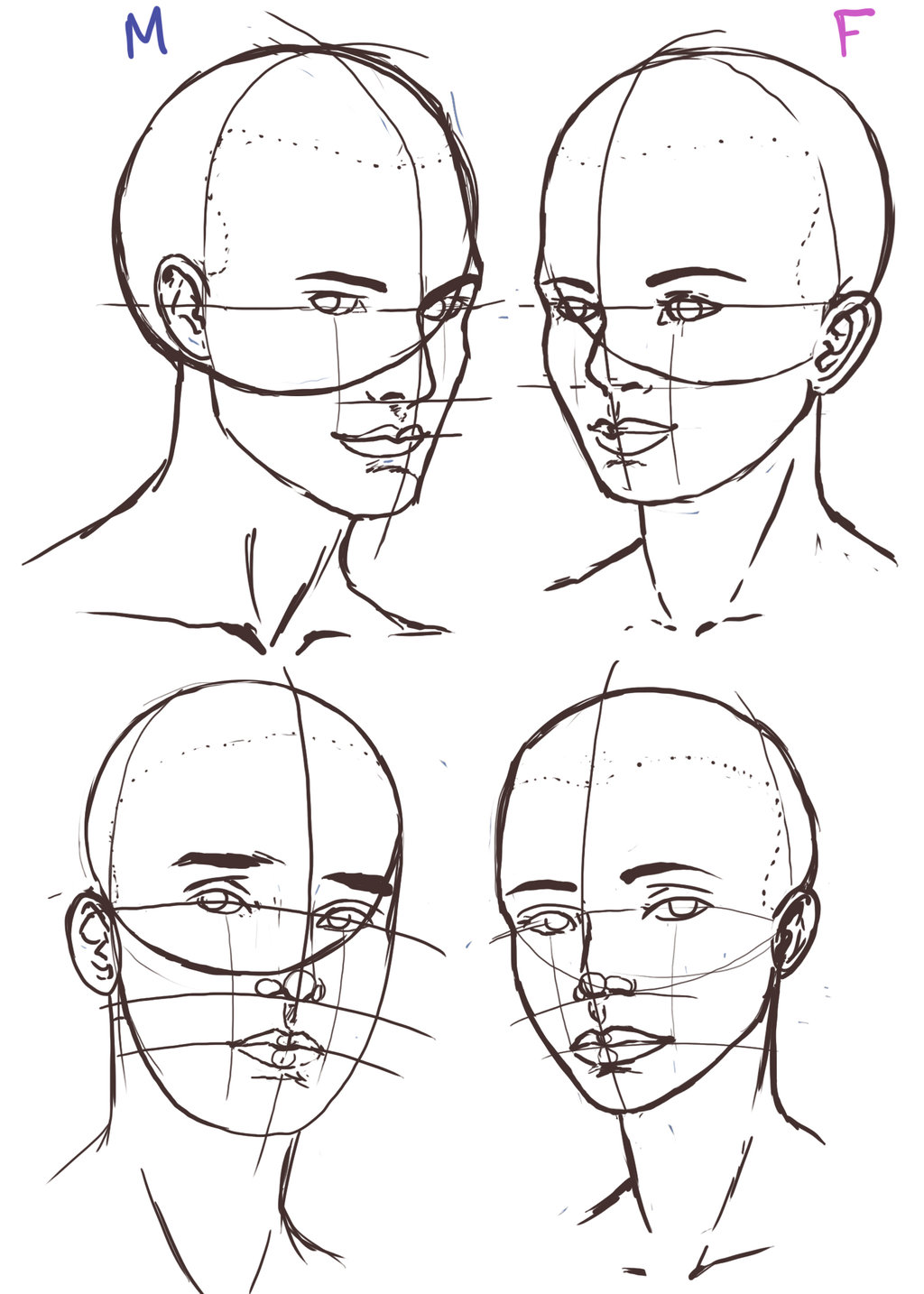 Female Face Drawing Reference at Explore
