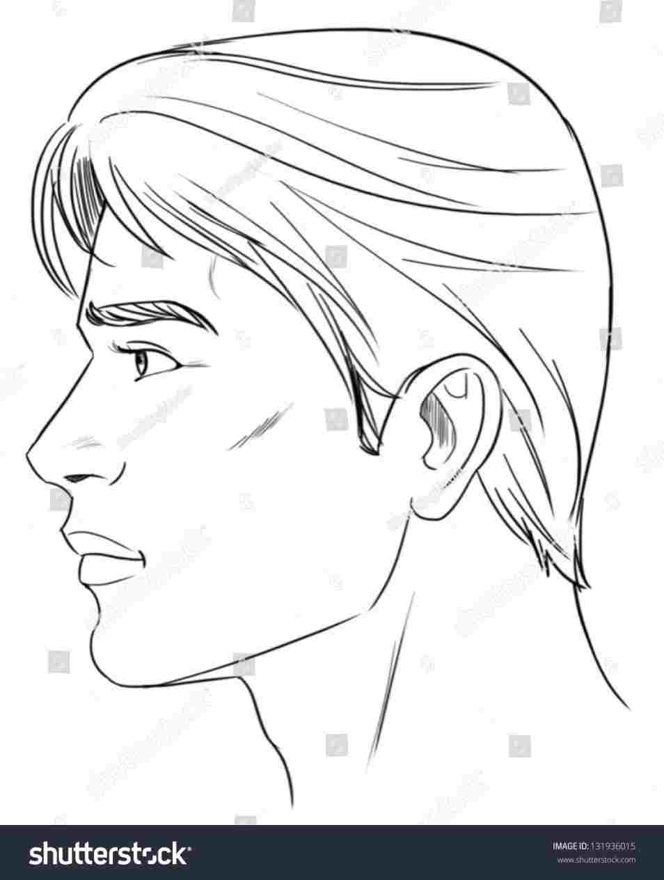 954x1264 The Female Face Side View Human Head From Rhyoutubecom How Womens - Female Face Profile Drawing