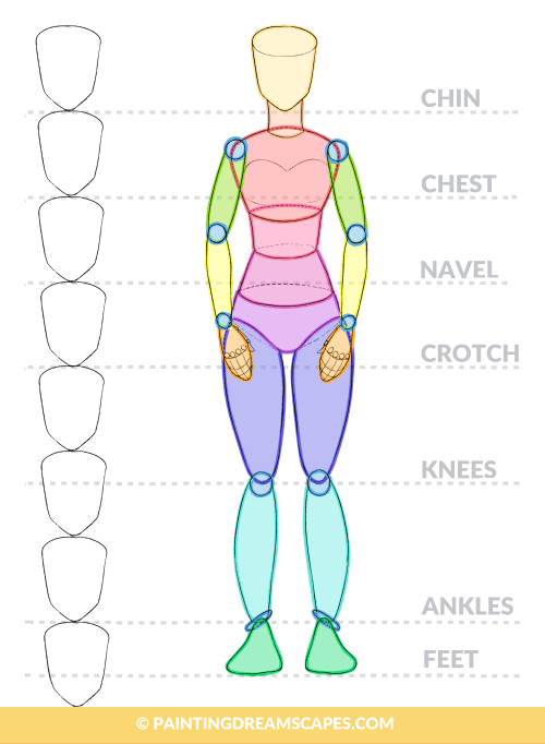 500x682 Figure Drawing For Anime Artists - Female Figure Drawing