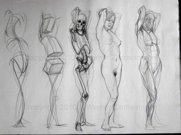 600x450 female form drawing - Female Form Drawing