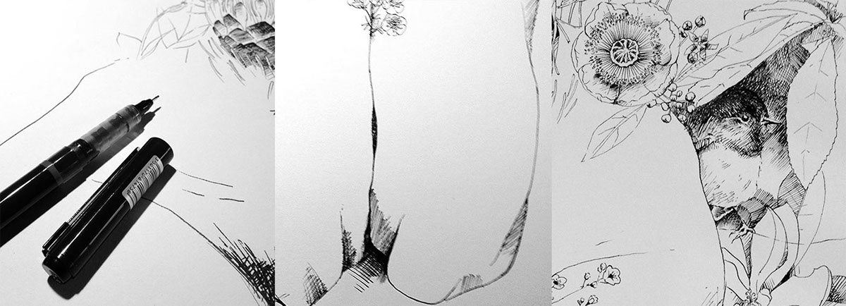 1200x434 the flower and female form - Female Form Drawing