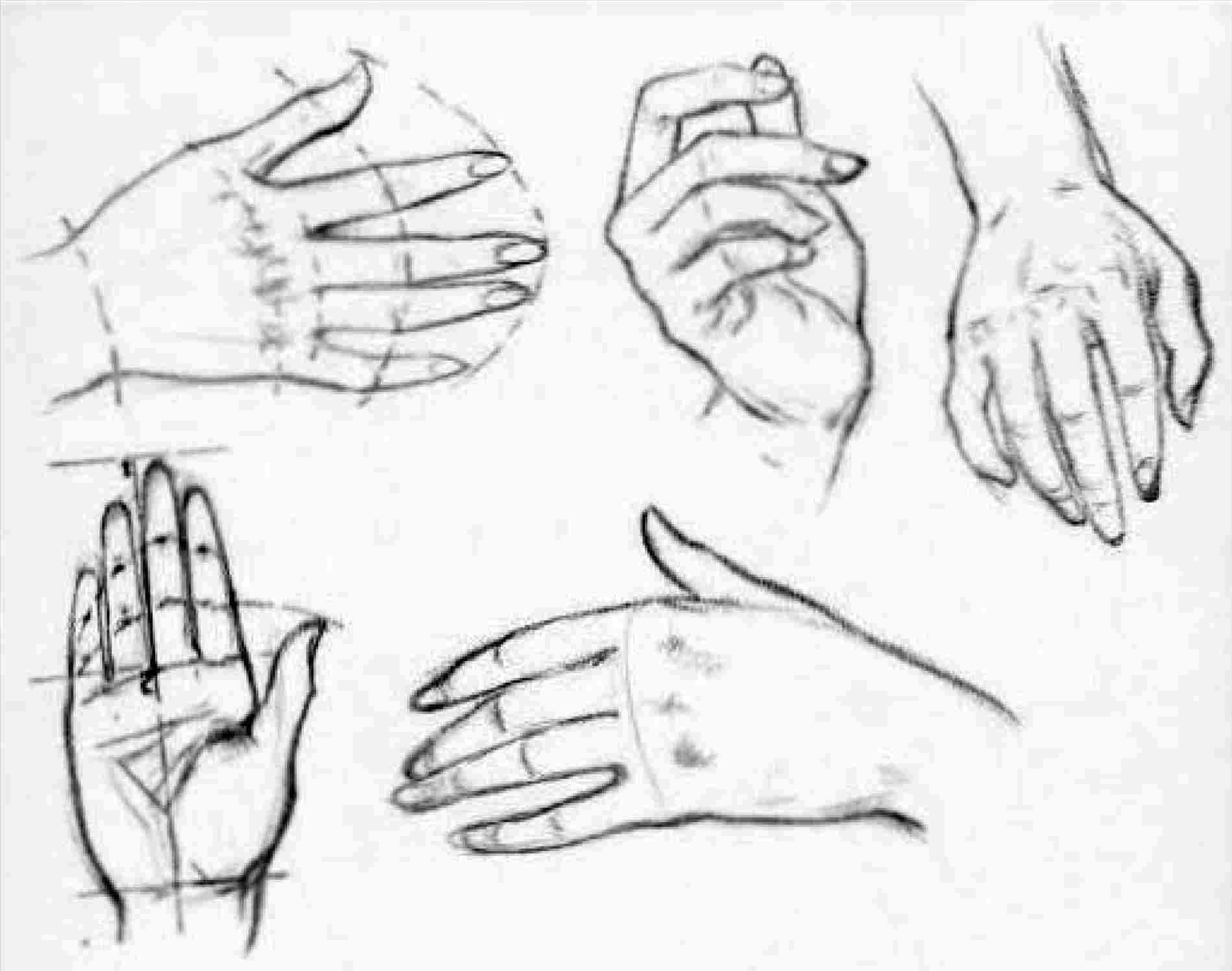 1899x1496 Female Hand Hand Draw Easy Drawing Fine Art - Female Hand Drawing