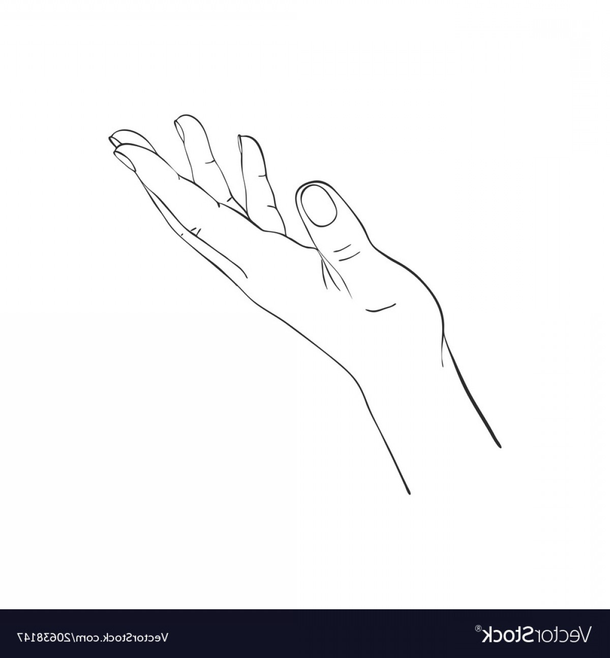 1200x1296 Hand Drawn Woman Hand Vector Soidergi - Female Hand Drawing