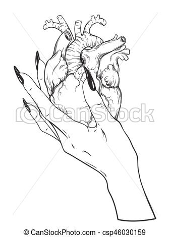 337x470 human heart in graceful female hand isolated sticker, print - Female Hand Drawing
