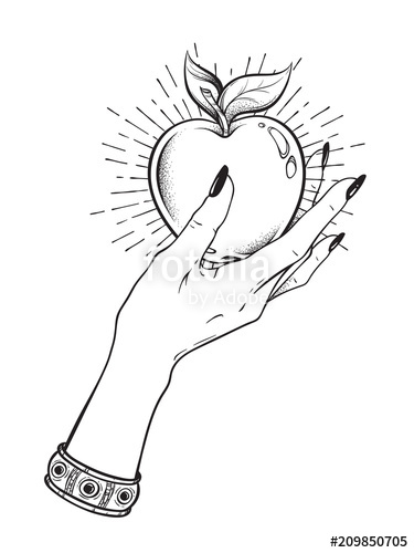 375x500 Apple In Female Hand Isolated Hand Drawn Line Art And Dot Work - Female Hand Drawing
