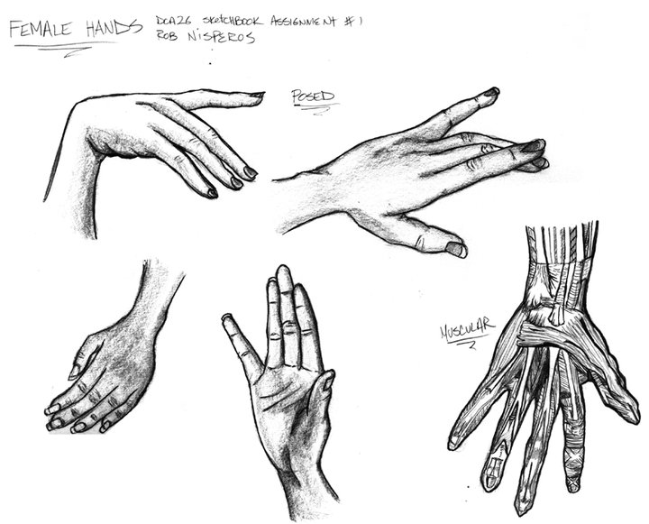 720x581 rob c nisperos art animation has moved life drawing - Female Hand Drawing