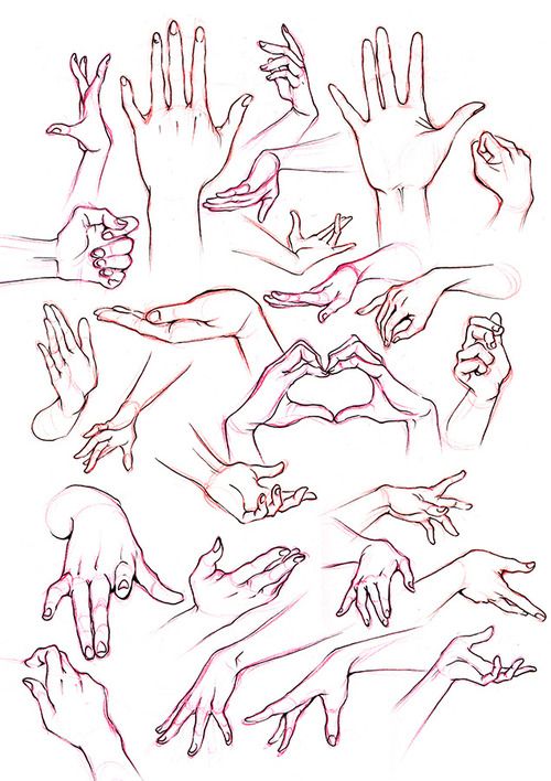 500x708 female hand ref - Female Hand Drawing