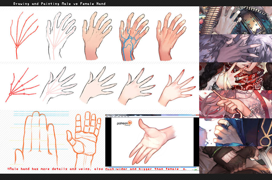 900x596 Drawing Hands Male Vs Female - Female Hand Drawing