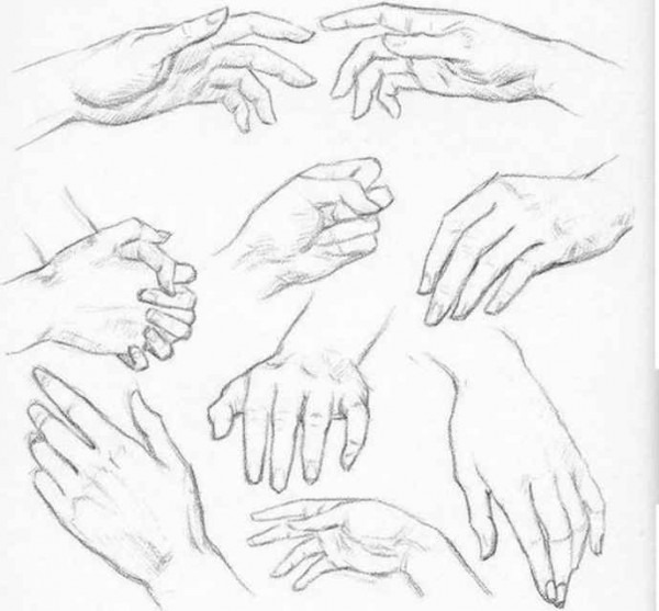 600x557 Female Hand Drawing - Female Hand Drawing