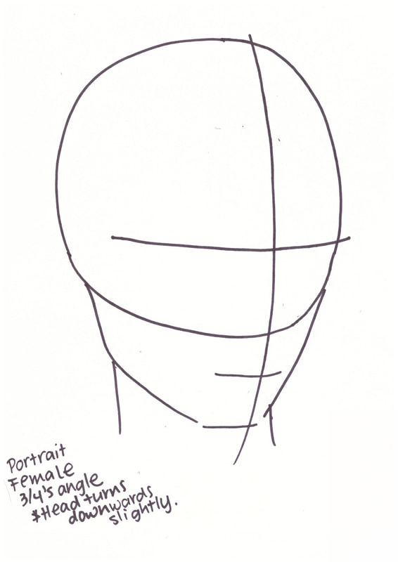 566x800 How To Draw Faces - Female Head Drawing