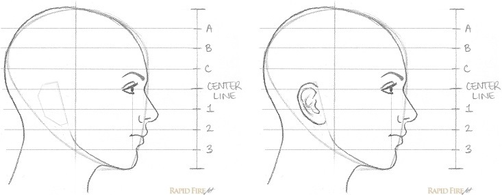 733x286 How To Draw A Female Face - Female Head Drawing