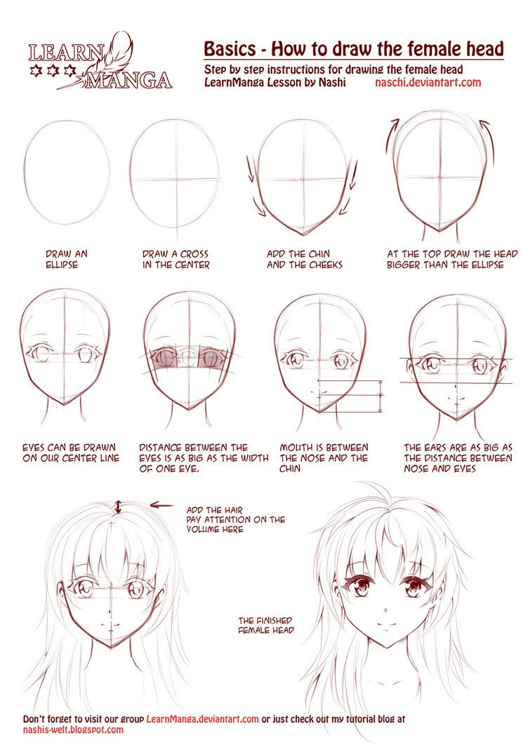 752x1063 Learn Manga How To Draw The Female Head Frontnaschi On Ganzes - Female Head Drawing