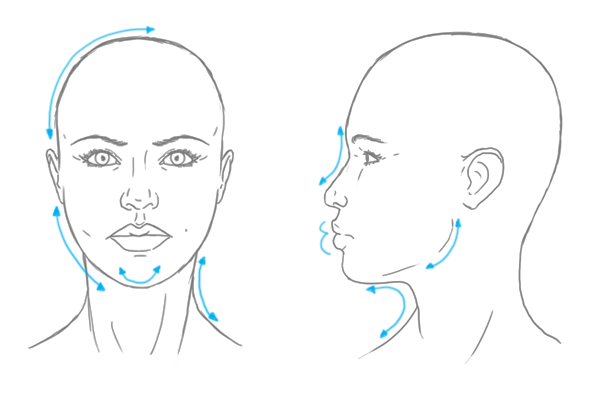 600x409 the differences between male and female portraits - Female Head Drawing