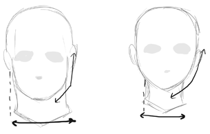 305x195 Difference Between Drawing Male And Female Anime Manga Heads - Female Head Drawing