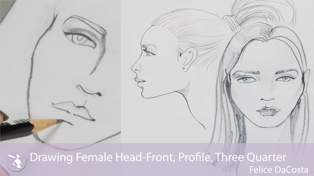 640x360 Drawing Female Head Front, Profile, Three Quarter - Female Head Drawing