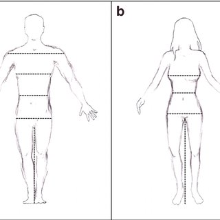 320x320 Male - Female Human Body Drawing
