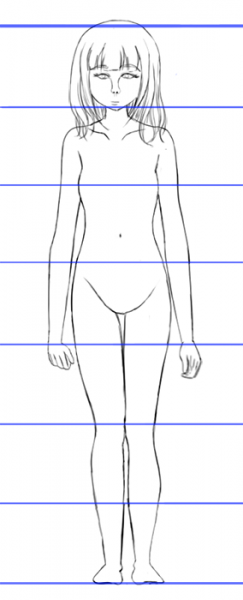 243x600 The Female Human Body Proportions - Female Human Body Drawing