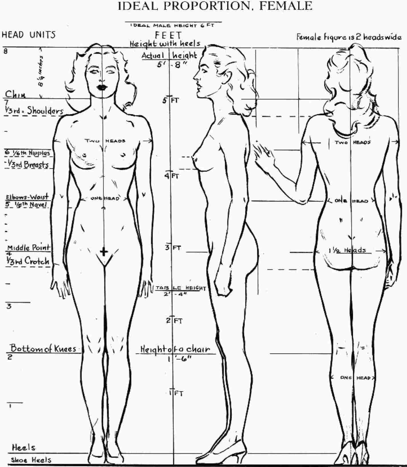 1422x1631 Template Cake Decor Tutorials Rhcom - Female Human Body Drawing