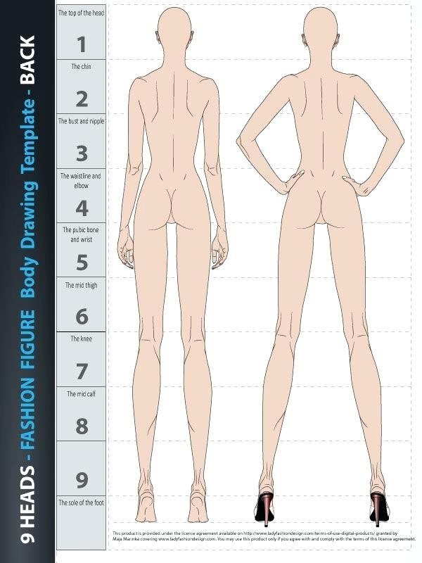 600x800 Body Template Woman Human Drawing Outline At Com Free For Personal - Female Human Body Drawing