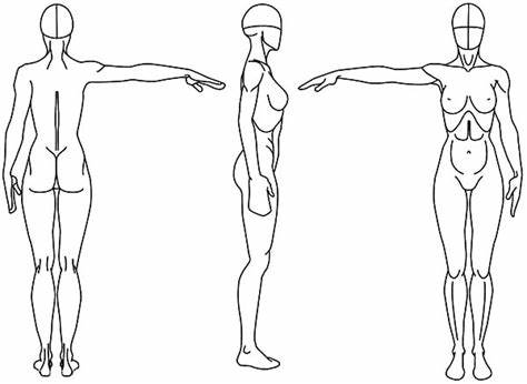 474x346 Female Human Body Outline Drawing Gtgt - Female Human Body Outline Drawing