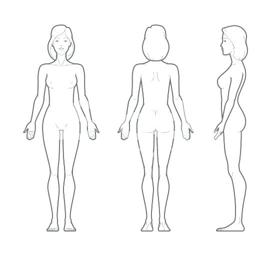 Human Body Drawing Template - Female Human Body Outline Drawing. 