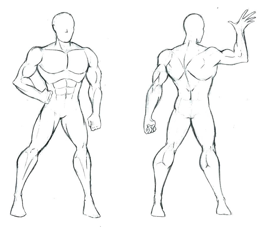 900x773 Human Body Outline Image Drawing Figure Template - Female Human Body Outline Drawing