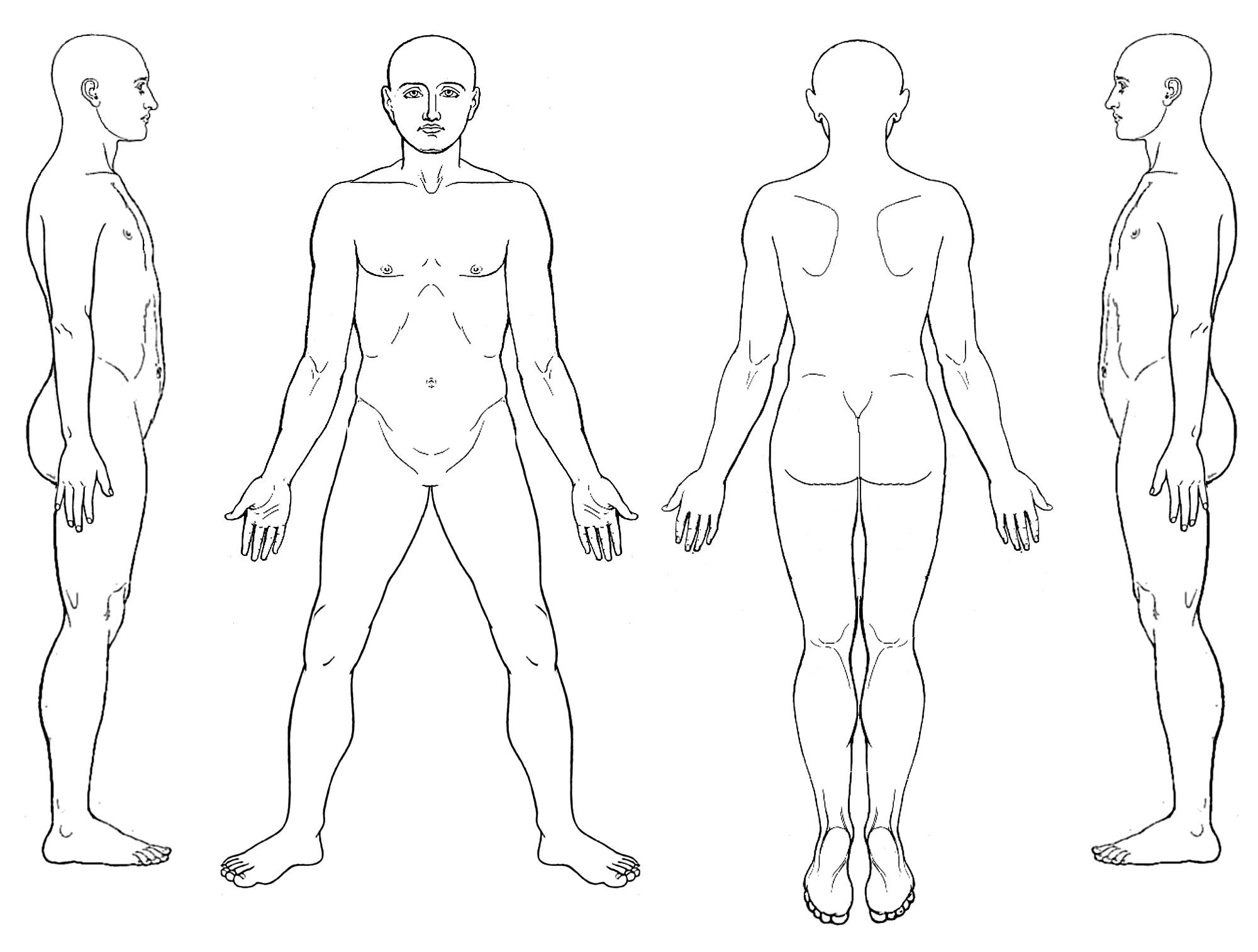 Outline Human Body Diagram Tablon