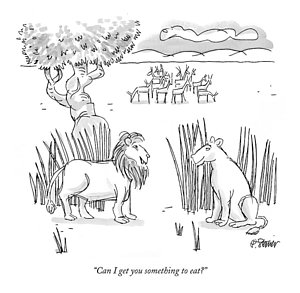 300x293 Female Lion Drawings Fine Art America - Female Lion Drawing