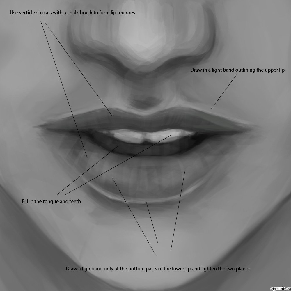 1000x1000 How To Draw Lips In Steps With Photoshop - Female Lips Drawing